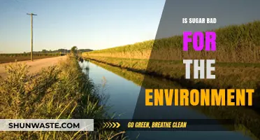 Sugar's Environmental Impact: Uncovering the Sweet Industry's Hidden Costs