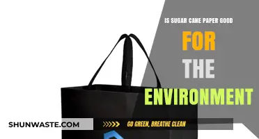 Sugar Cane Paper: Eco-Friendly Alternative or Environmental Myth?