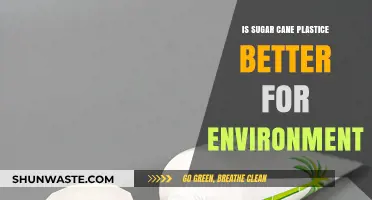 Sugar Cane Plastic: Eco-Friendly Alternative or Greenwashed Myth?