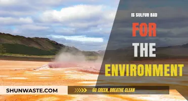 Sulfur's Environmental Impact: Harmful Effects and Sustainable Solutions Explored