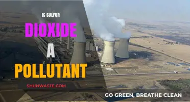 Sulfur Dioxide: A Dangerous Air Pollutant?