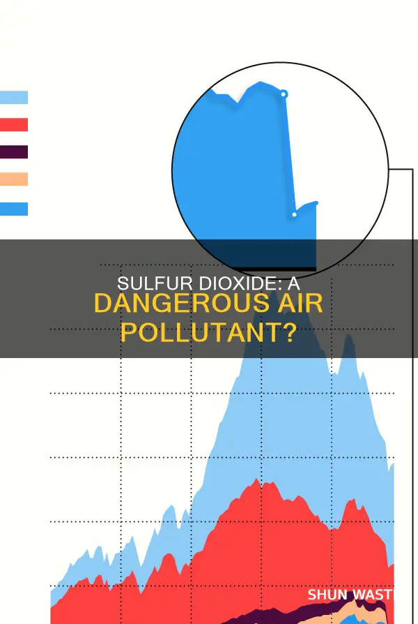 is sulfur dioxide a pollutant