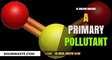 Sulfur Dioxide: Primary Pollutant or Not?