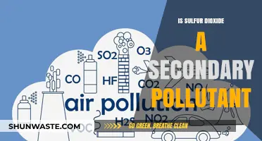 Sulfur Dioxide: Primary or Secondary Pollutant?