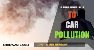 Sulfur Dioxide: Cars and Air Pollution