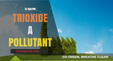 Sulfur Trioxide: A Dangerous Air Pollutant?