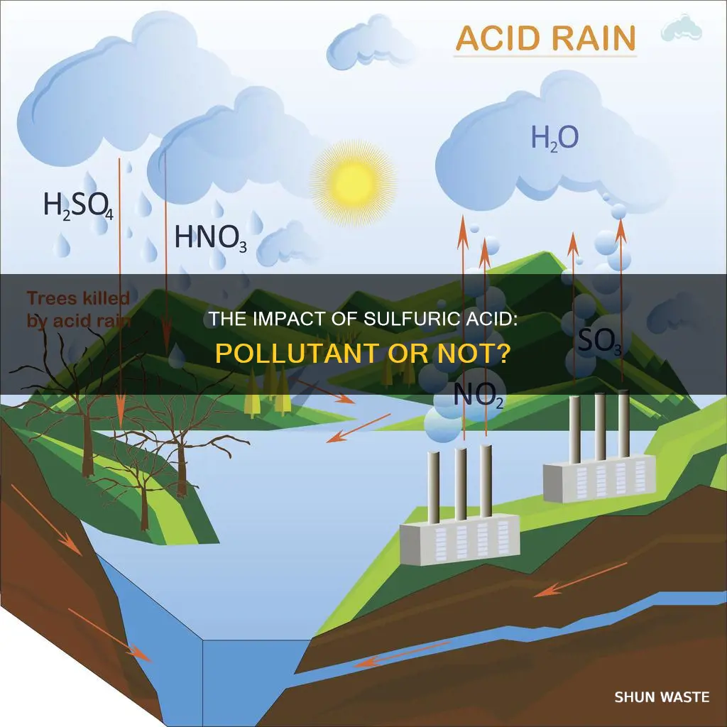 is sulfuric acid a pollutant