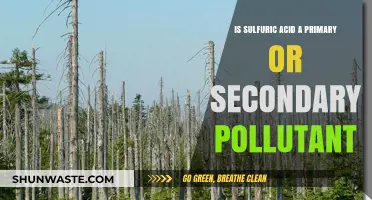 Sulfuric Acid: Primary or Secondary Pollutant?