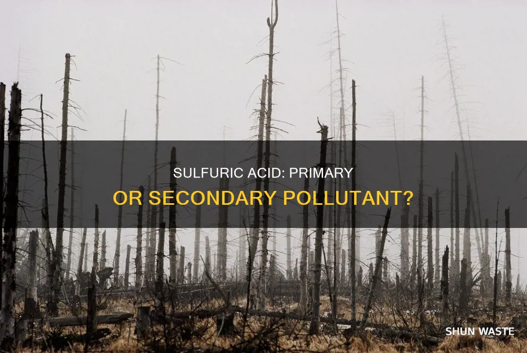 is sulfuric acid a primary or secondary pollutant