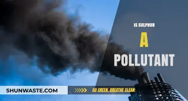 Sulphur: Friend or Foe to the Environment?