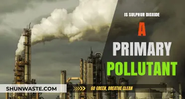Sulphur Dioxide: Primary Pollutant or Not?