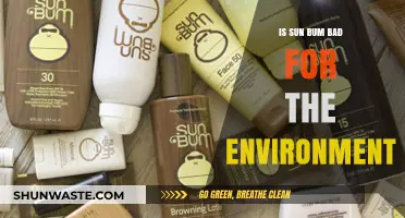 Is Sun Bum Eco-Friendly? Environmental Impact of Sun Bum Products