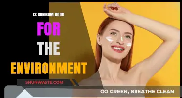 Is Sun Bum Eco-Friendly? Exploring Its Environmental Impact and Sustainability