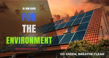 Sun's Environmental Impact: Benefits, Risks, and Sustainable Energy Potential