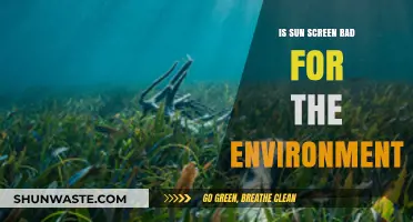 Is Sunscreen Harming Our Oceans? Environmental Impact Explained