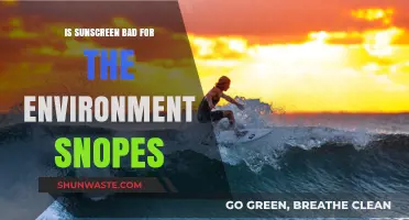 Is Sunscreen Harming Our Oceans? Debunking Environmental Myths