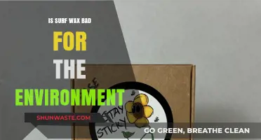 Is Surf Wax Eco-Friendly? Environmental Impact and Sustainable Alternatives