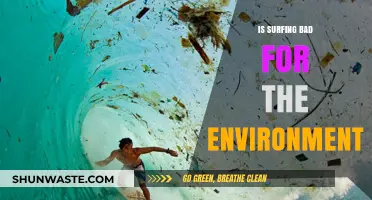 Surfing's Environmental Impact: Harmful or Sustainable Sport?