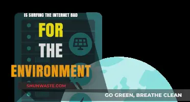 Surfing the Web: Environmental Impact of Our Online Habits