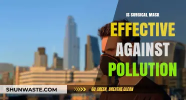 Surgical Masks: Effective Pollution Protection?