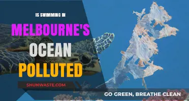 Swimming in Melbourne: Is the Ocean Polluted?