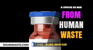 Is Synthetic B12 Derived from Human Waste? Unraveling the Myth