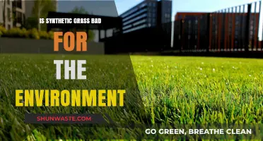 Synthetic Grass vs. Nature: Uncovering the Environmental Impact of Artificial Turf