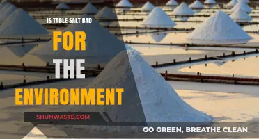 Is Table Salt Eco-Friendly? Environmental Impact of Salt Production