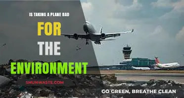 Flying's Environmental Impact: Is Air Travel Harming Our Planet?