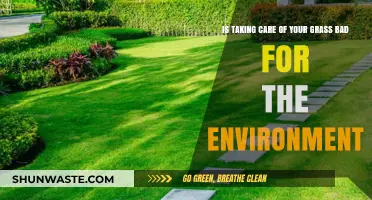 Is Lawn Care Eco-Friendly? Uncovering the Environmental Impact of Grass Maintenance