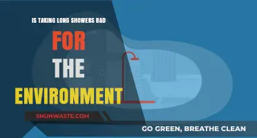 Long Showers: Environmental Impact and Sustainable Water Usage Tips