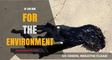 Is Tar an Environmental Hazard? Exploring Its Impact on Ecosystems