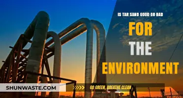 Tar Sands: Environmental Lifeline or Ecological Disaster?