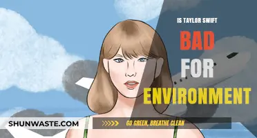 Taylor Swift's Environmental Impact: Private Jets, Tours, and Sustainability Concerns