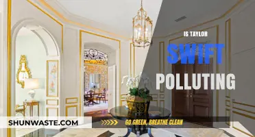 Taylor Swift's Environmental Impact: Is She Polluting?