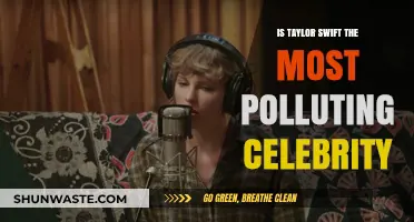 Taylor Swift: Music Star or Polluting Celebrity?