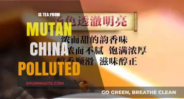 China's Mutan Tea: Pollution Threat?
