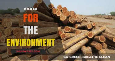 Is Teak Eco-Friendly? Environmental Impact of Teak Wood Explained