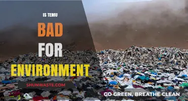 Is Temu Eco-Friendly? Environmental Impact and Sustainability Concerns
