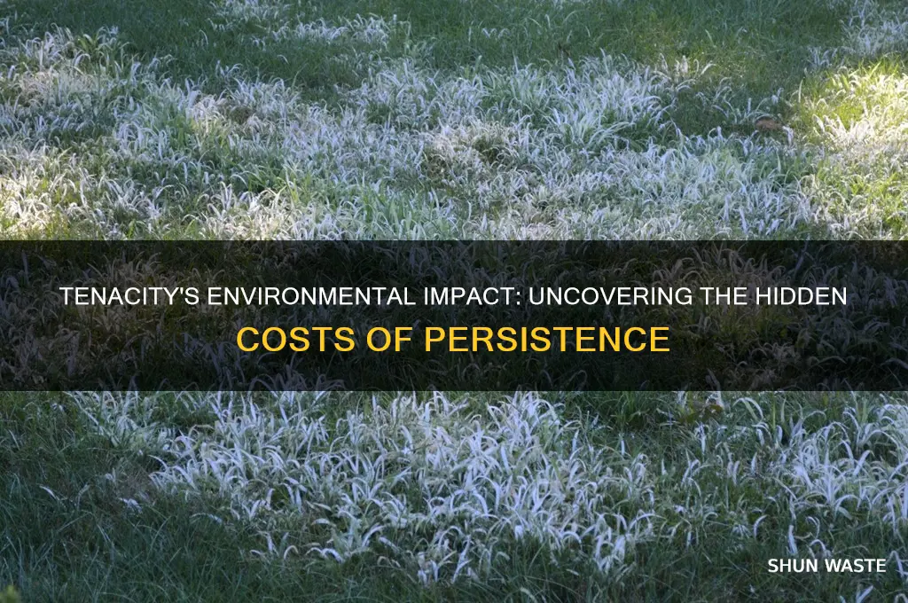 is tenacity bad for the environment