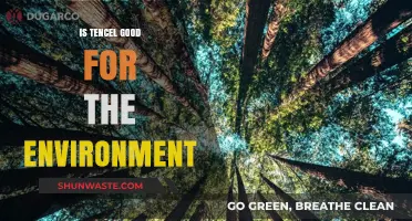 Is Tencel Eco-Friendly? Exploring Its Environmental Impact and Benefits