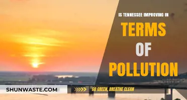 Tennessee's Pollution Progress: A Statewide Overview