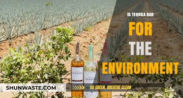 Tequila's Environmental Impact: Sustainable Practices or Ecological Concern?
