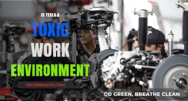 Tesla's Workplace Culture: Toxic Environment or Innovative Pressure Cooker?