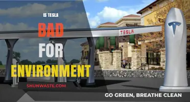 Is Tesla Eco-Friendly? Uncovering the Environmental Impact of Electric Vehicles