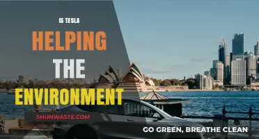 Is Tesla Truly Green? Environmental Impact of Electric Vehicles Explored