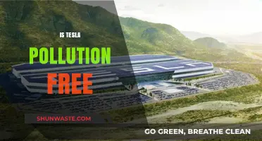 Tesla's Pollution-Free Promise: Fact or Fiction?