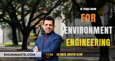 Is Texas a Green Haven for Environmental Engineering Careers?