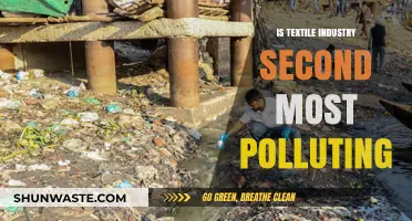 Textile Industry: A Major Polluting Force?