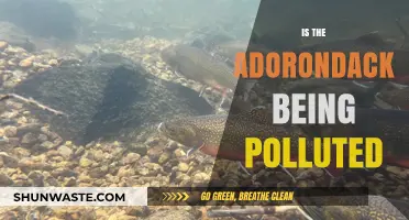 The Adirondacks: A Paradise Threatened by Pollution?